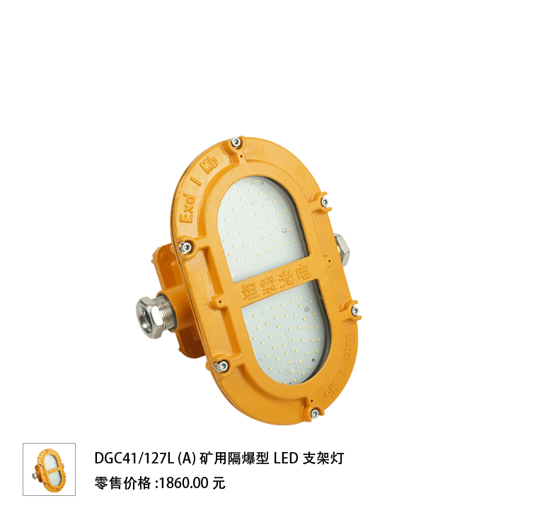 DGC41/127L(A)\ 矿用隔爆型LED支架灯